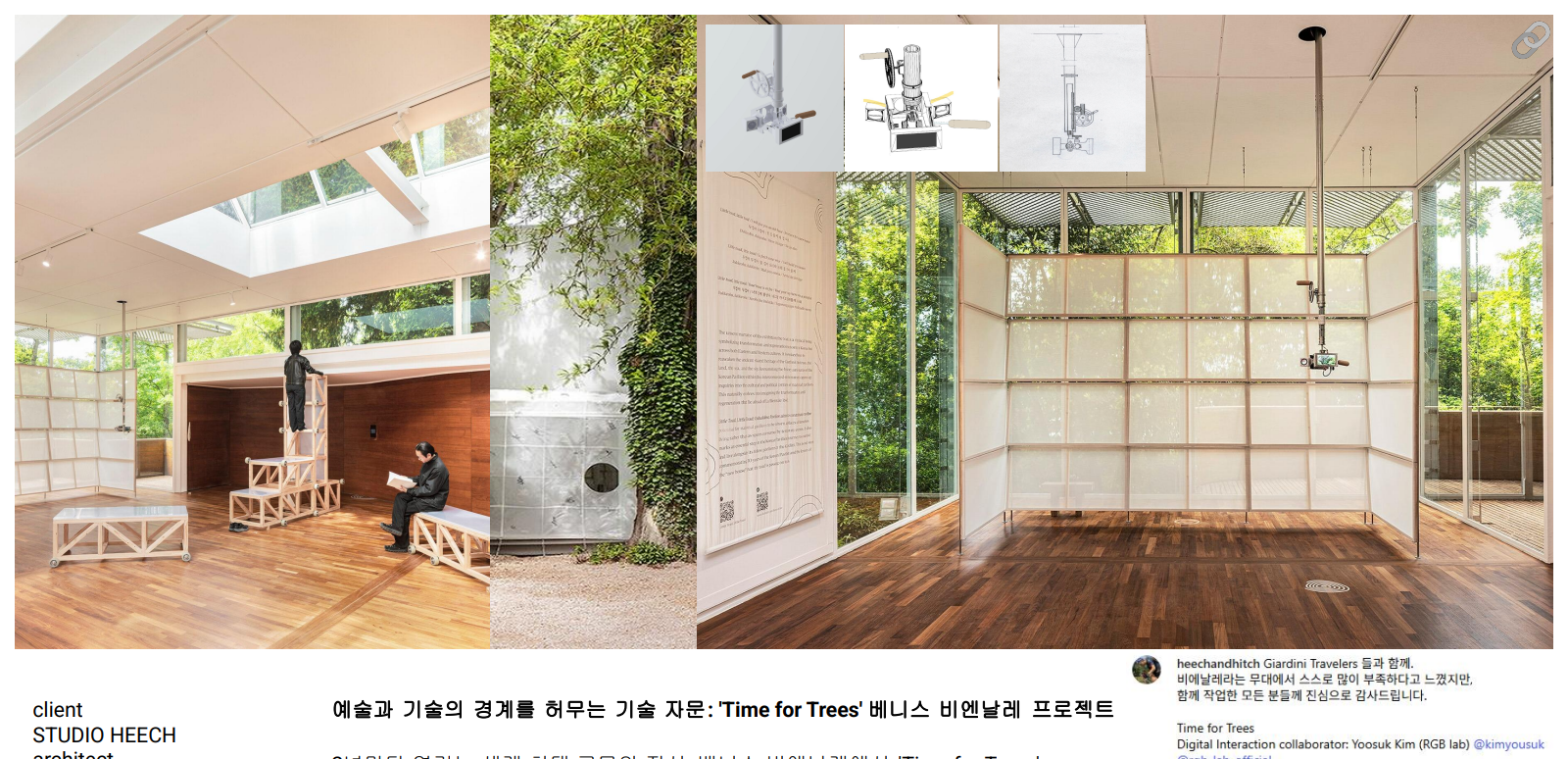 베니스 비엔날레 — Time for Trees 대표 이미지