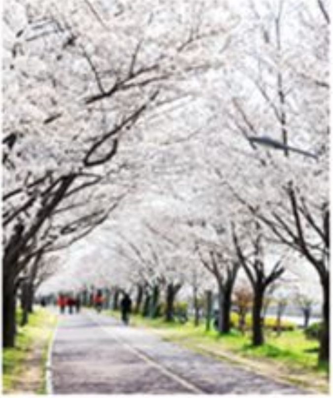 부산 사상역 — 프로젝션 맵핑 · 프로젝트 이미지 5
